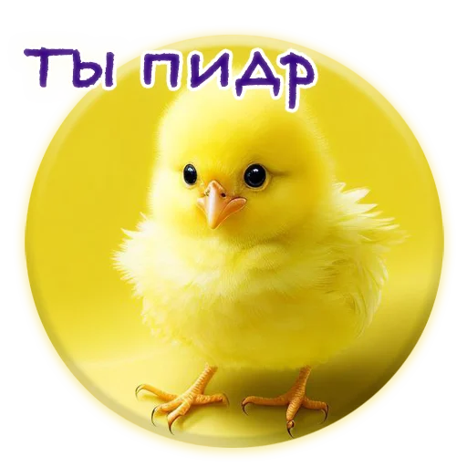 Crazy Chicken! stiker ❤️