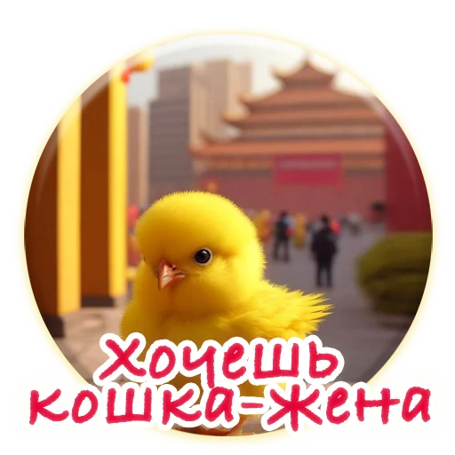 Crazy Chicken!  sticker 👰