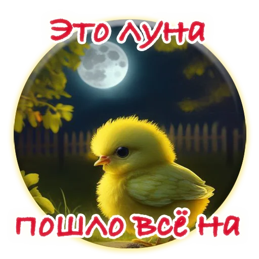 Crazy Chicken! emoji 🌕