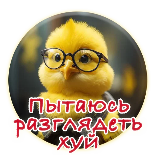 Telegram stiker «Crazy Chicken!» 🤓