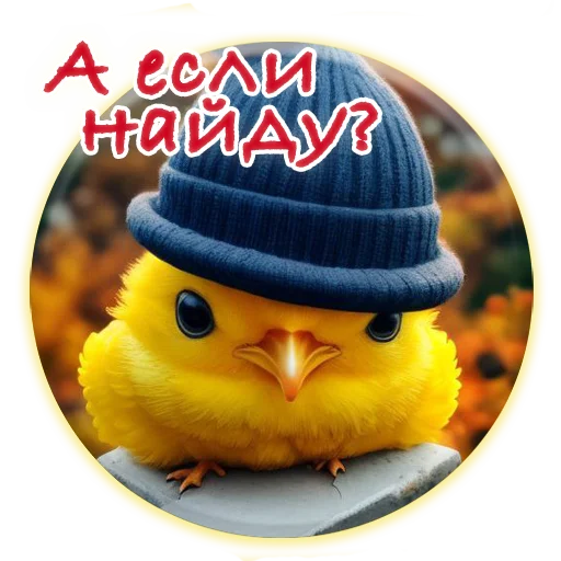 Crazy Chicken! emoji 🦃