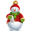 Christmas Decor emoji ⛄️