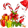 Christmas Decor emoji 🎁