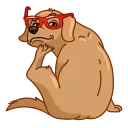 Сhristmas Dogs emoji 🤔
