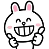 Емодзі Cony Emoji 👍