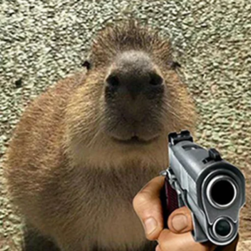 Стікер Capybara's world 🔫