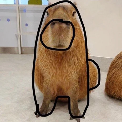 Capybara's world emoji 🤡