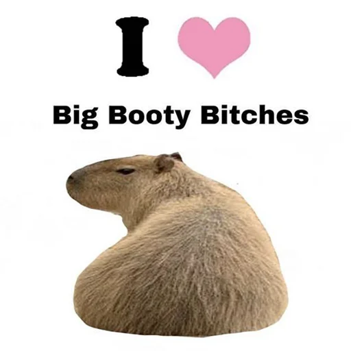 Capybara's world emoji ❤️