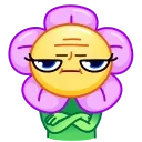 Crazy Daisy emoji ⛔️