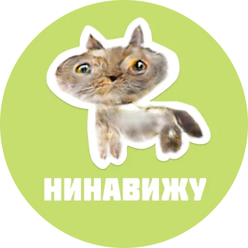 Telegram stickers CreepyCats