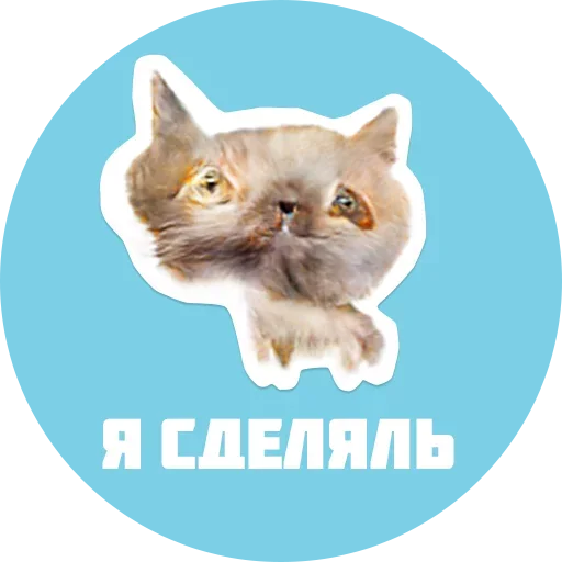Telegram Sticker «CreepyCats» 😙