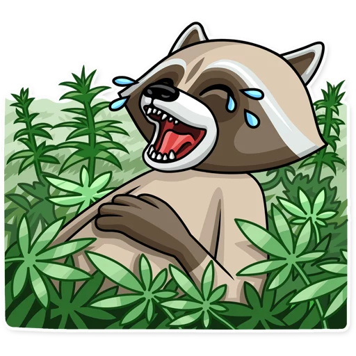 Telegram Sticker «Criminal Raccoon» 😂