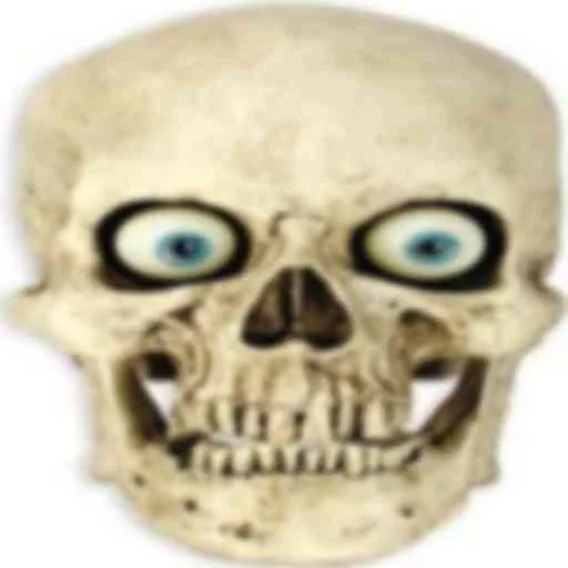 Skulls sticker 💀