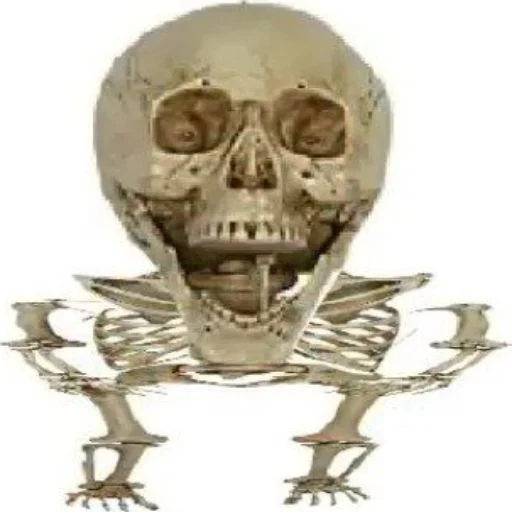 Стікер Telegram «Skulls» 💀