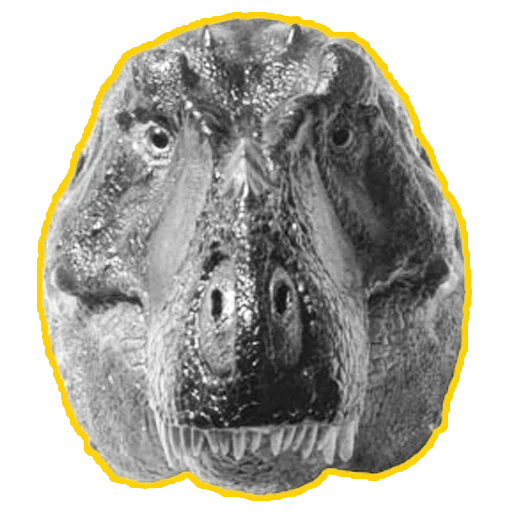 cursed dinosaurs sticker 😊