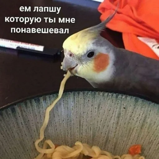 Емодзі Cute Parrots Meme 🍜