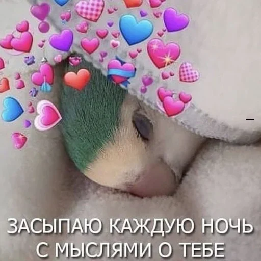 Стикер Telegram «Cute Parrots Meme» 😴