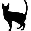Telegram emoji «Cute cats» 😊