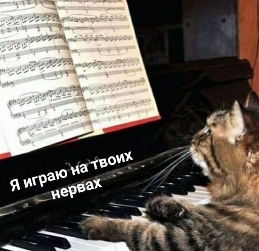 Стикер ⚞ᴥ⚟ 🎹