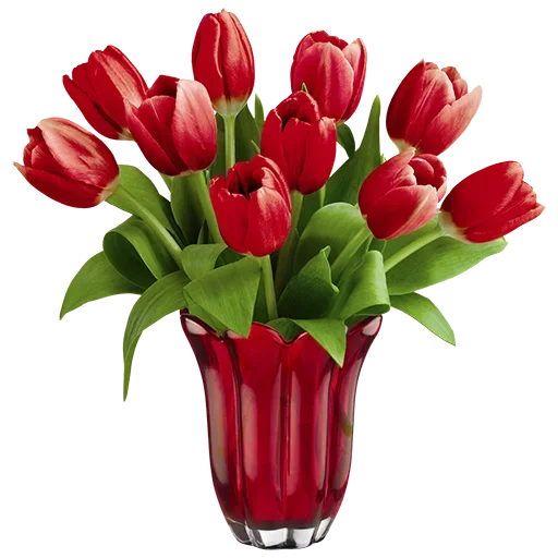 Telegram stickers Flowers for you