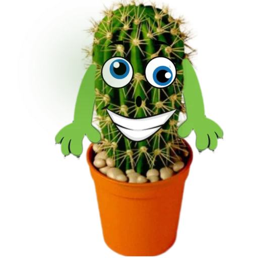 Стікер cactus 🌵