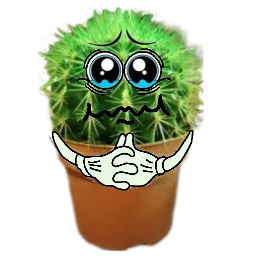 Стікер cactus 🥺