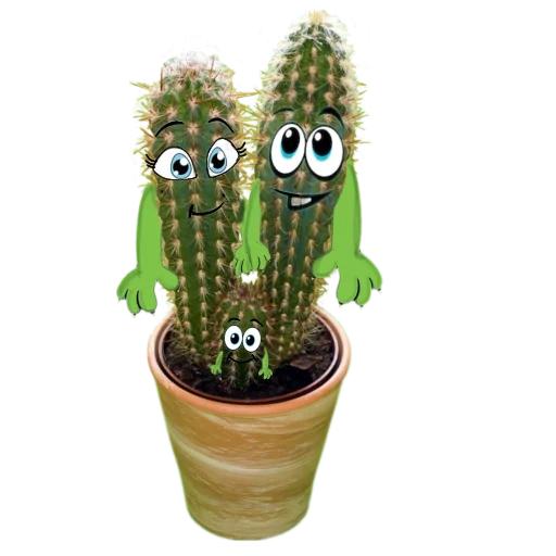 cactus stiker 👨‍👩‍👦‍👦