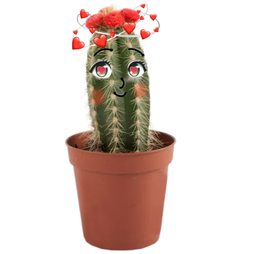 Стікер Telegram «cactus» 😍