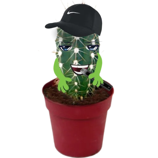 Стікер cactus 😐