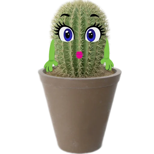 cactus stiker ☺️