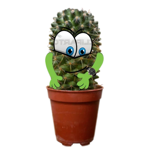 Стікер cactus ⌚️