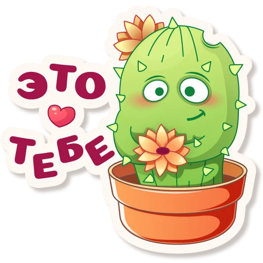 Cactus Quentin stiker 🥰