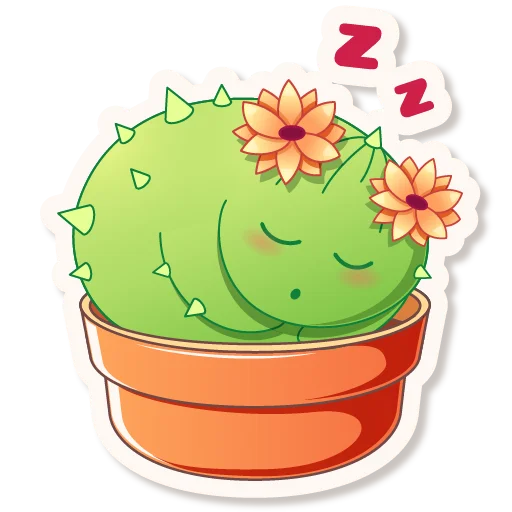 Cactus Quentin stiker 😴