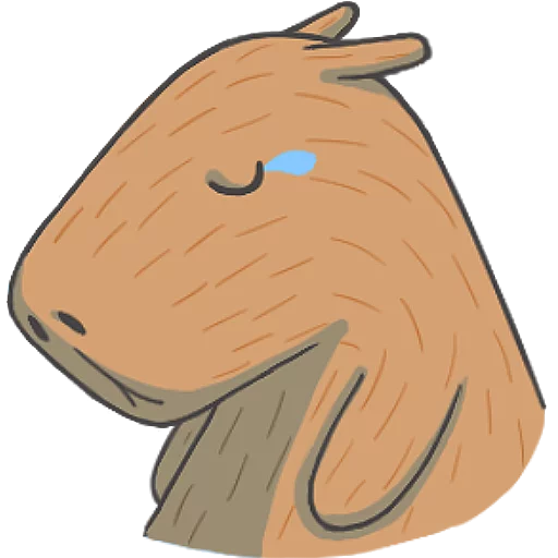 Capybara&Co sticker 😥
