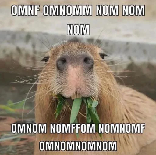 Стикер capybara 🤤