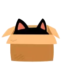 Эмодзи Cat Teftel 📦