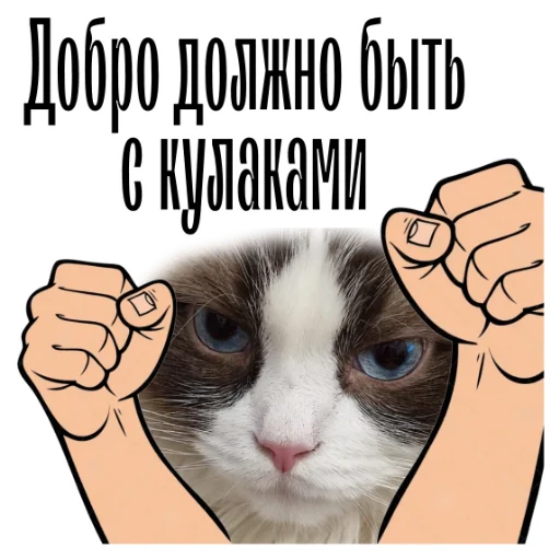 Стікер Telegram «cat channel» 😼