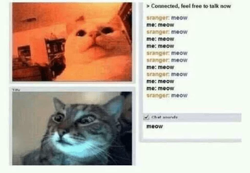 Стікер Telegram «CATS» 📞