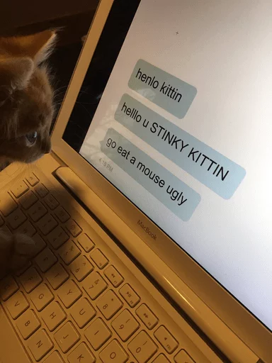 Telegram stiker «CATS» 😓