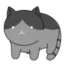 Animated Cats stiker 🕶