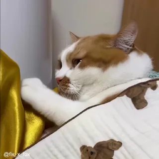 Стікер cat unic mass 🥱