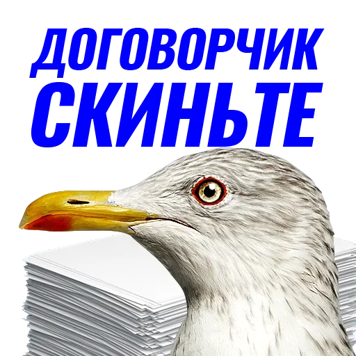 Telegram stiker «Чaйка» 😕