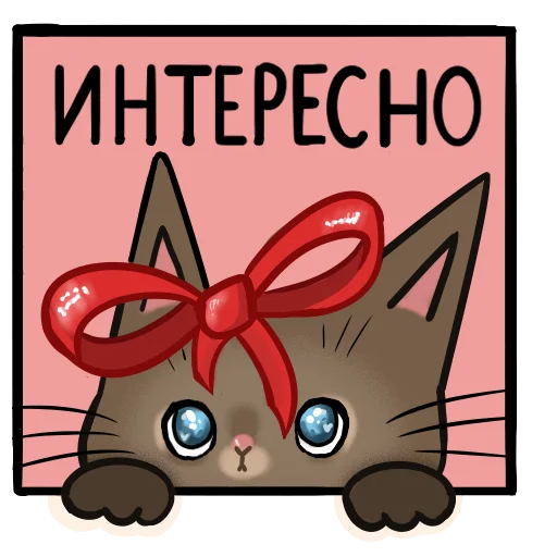 Telegram stiker «новогодний кот» 🤔