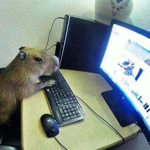 Capybara? stiker 🖥️
