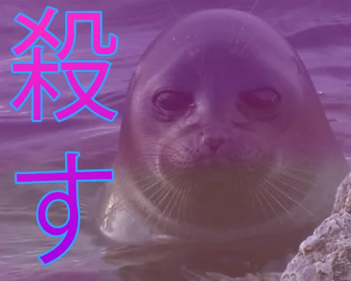 Seals | Тюлени stiker 😐