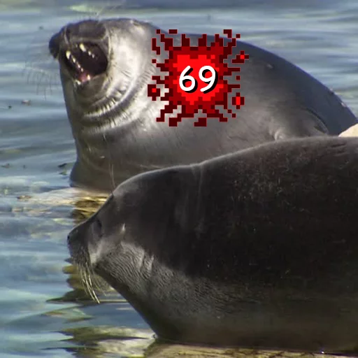 Стикер Seals | Тюлени 👊