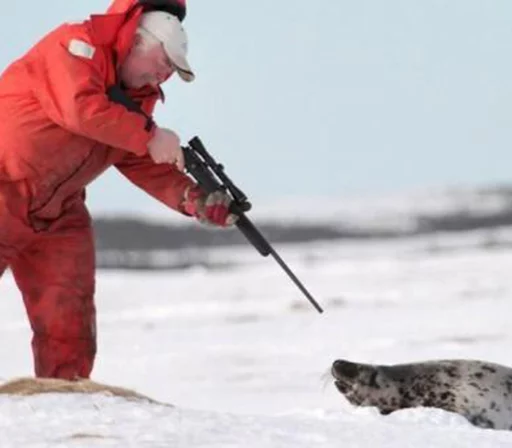 Стікер Seals | Тюлени 🔫