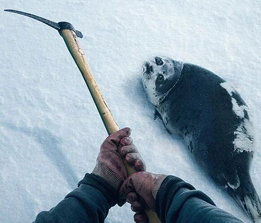 Стикер Seals | Тюлени 😢