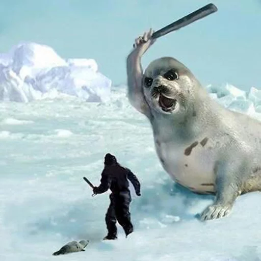 Seals | Тюлени sticker 🔪