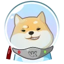 Космический рейнджер Акио emoji 😏